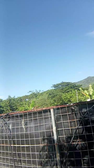 @La cubana Oficial