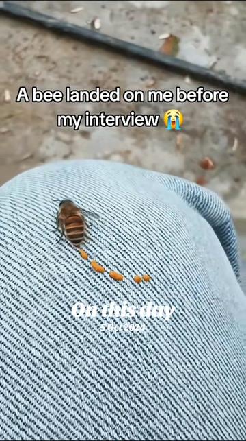 @Underrated Moments
