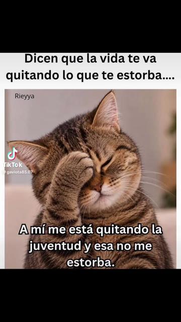 @johannagonzalez595