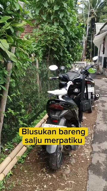 @BANG LEYON