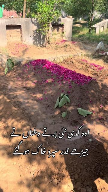 @Syیd Raحeel Shaبir 🫠💐🚩