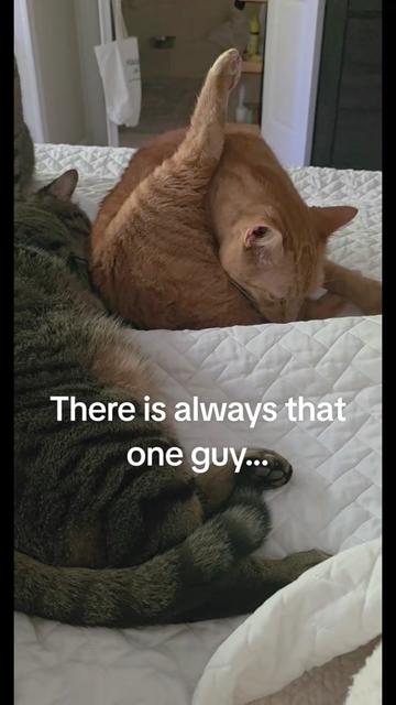 @KBC
