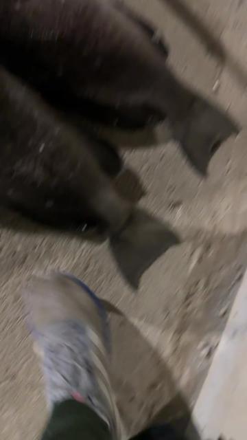 @ilay elgrabli