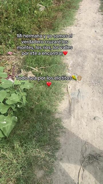 @Mar Mendoza 🦋💋✨️
