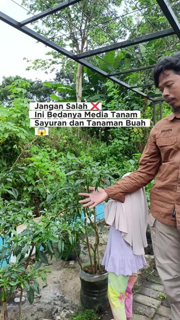 @LADIN ECOFARM STORE