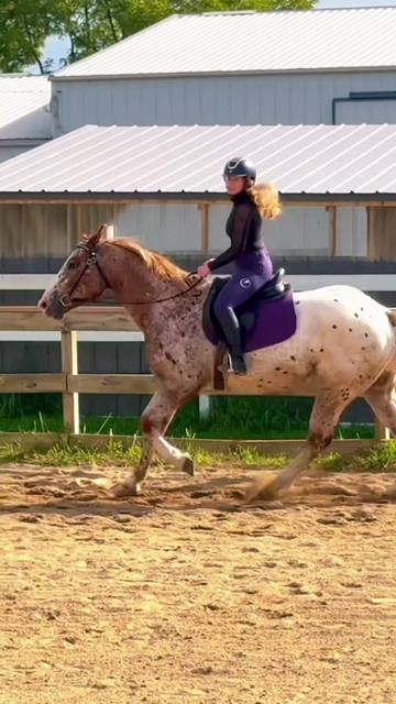 @Free Spirit Equestrian