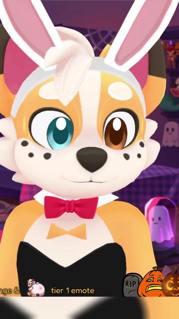@Corgi
