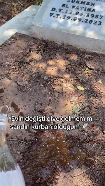 @serpil Gükmen
