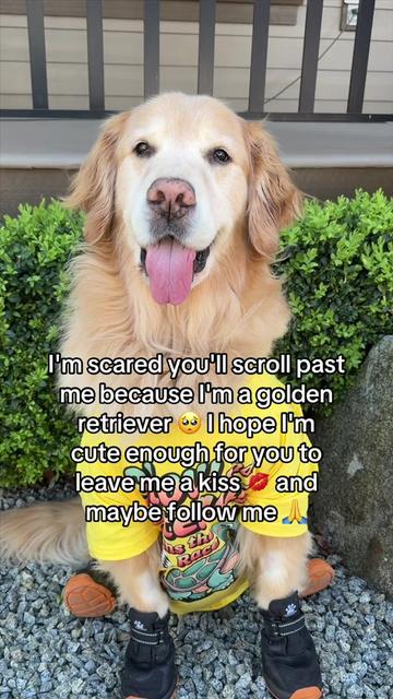 @A Golden and Fam