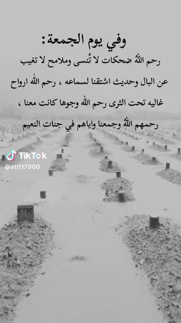 @zineb_belkhira