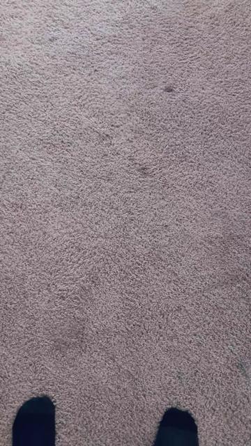 @Mudville Uncut Deals