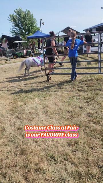 @minihorsemomandtrainer🐴🐴🐴🐴