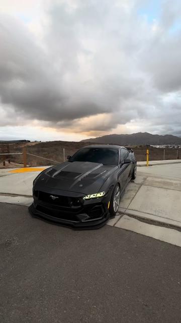 @alt_pony