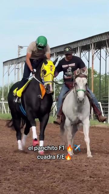 @carriles altos de jalisco🐎