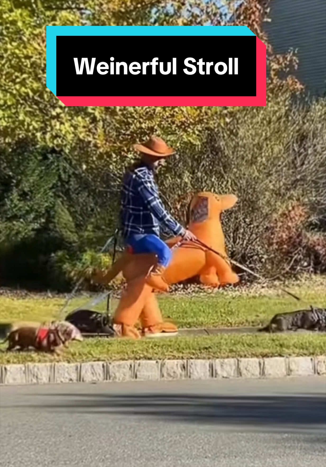 @dr.adam_christman_Veterinarian