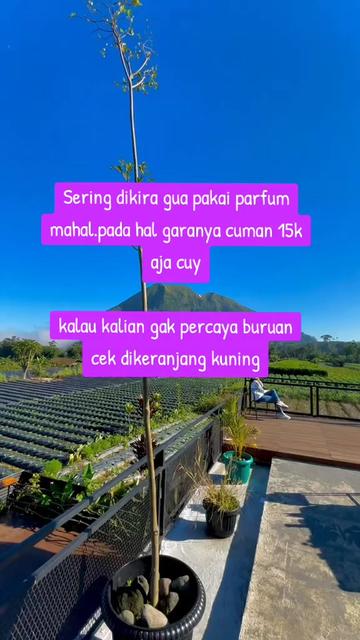@syam silalahi 93