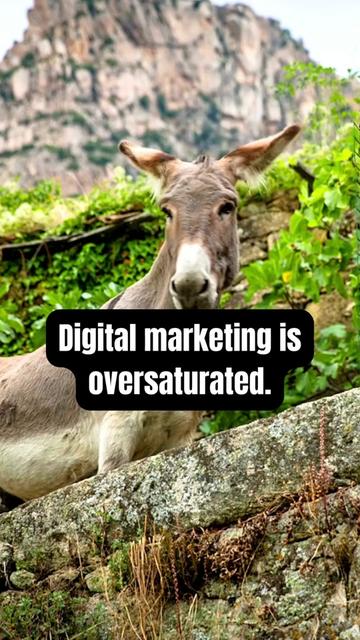 @Digital Marketing Pros ✨