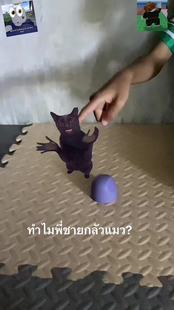 @จงภูมิใจเพราะเจ้าก็บวม