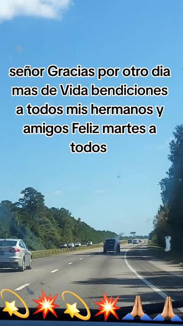 @🌻TERSITA🀄🕊deAKi*🐺