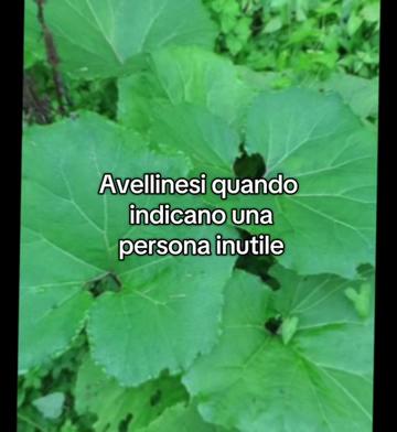 @sòstella (Stella Liberale)