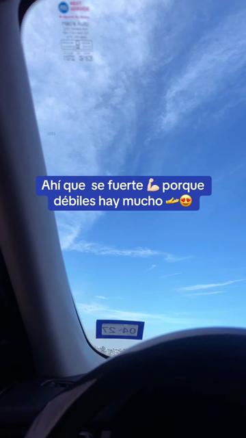 @elvita1242