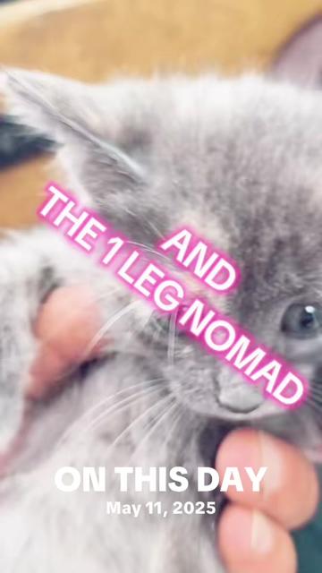 @The 1 Leg Nomad