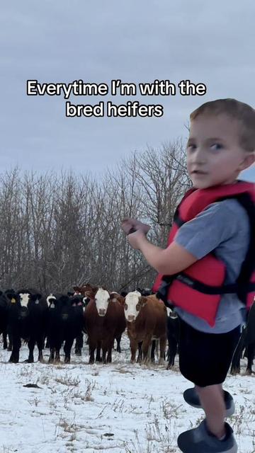 @Neilson Beef