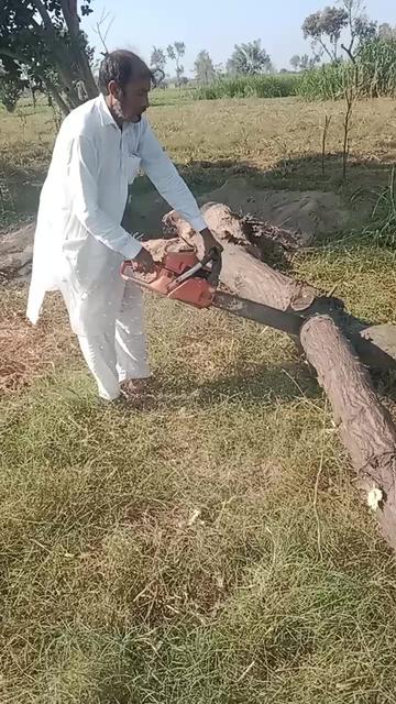 @Baba Mani