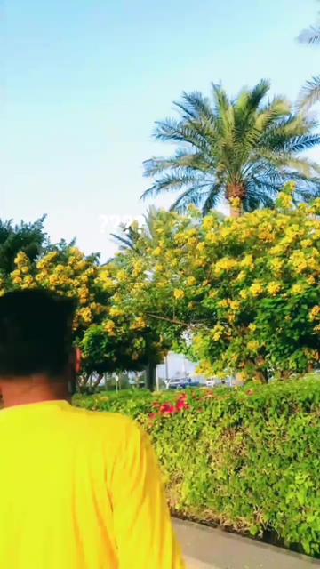 @🇧🇩SINGLE-LIFE🇧🇭