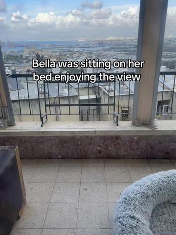 @Nala & Bella 💜