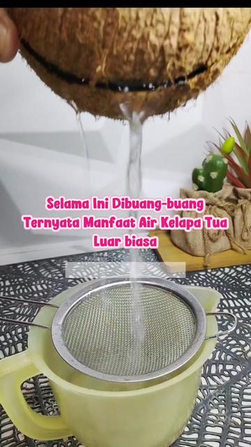 @dapoerbunmik