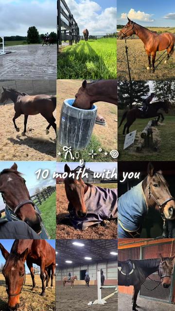 @Katie-Jumper1606