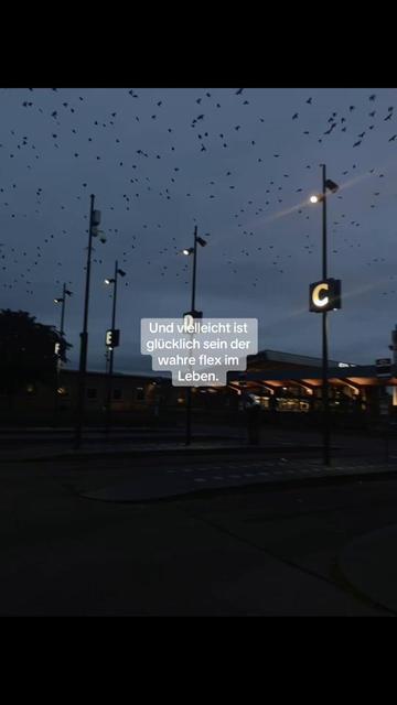 @der_deutsche_aus_47