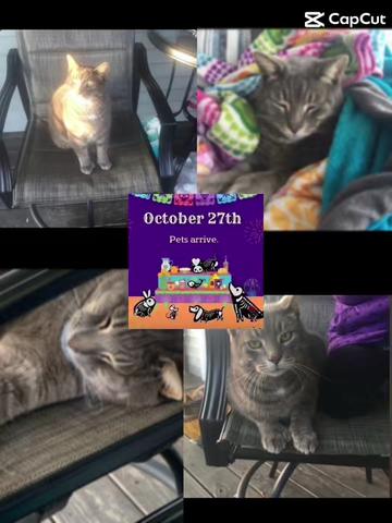 @ 