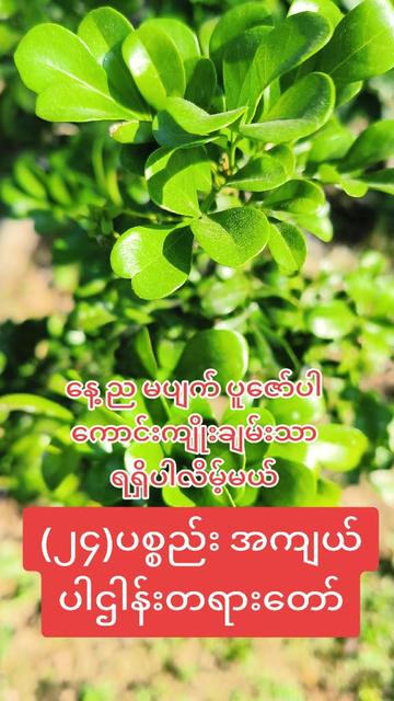 @𝐍𝐚𝐭𝐮𝐫𝐞 & 𝐃𝐡𝐚𝐦𝐦𝐚