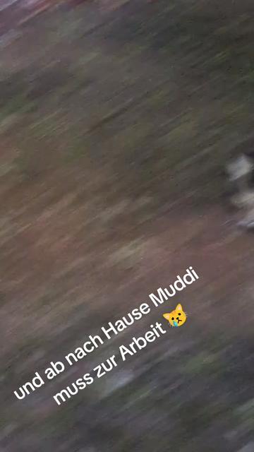 @😻Katrin&Odin 😻Modi Muddi 😻