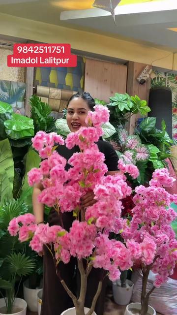 @wallpaper Dhankuta Home Deco