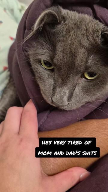 @Kittyboi