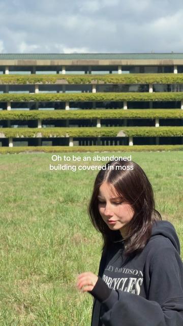 @Haylee