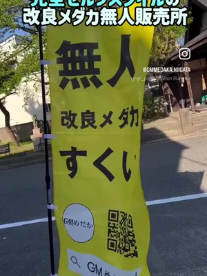 @gmmedaka.niigata
