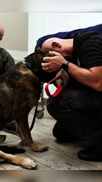 @K9dog Farewell