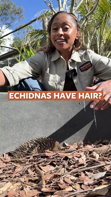 @Mutual of Omaha's Wild Kingdom