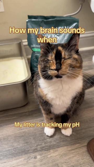 @SnickersTheSmilingCat
