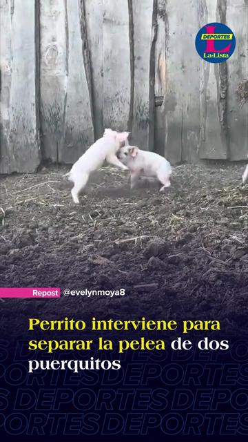 @La-Lista Deportes