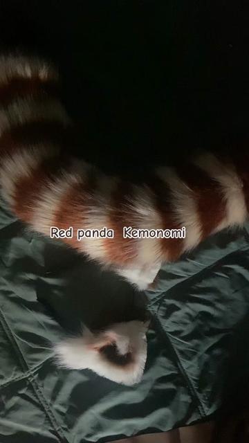@Bee