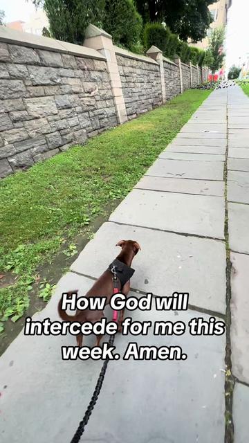 @betterwithcharley