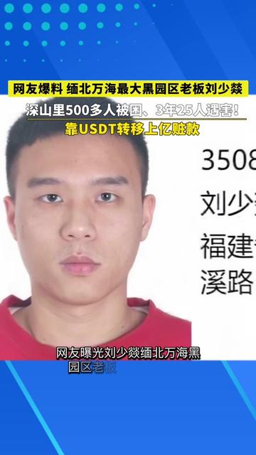 @东南亚华人大事件-小嘉