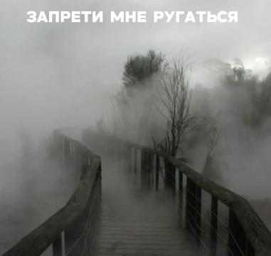 @тушёнка пикми