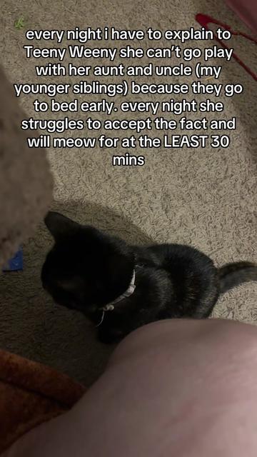 @jaylovesbugs