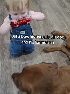 @hankinthehat